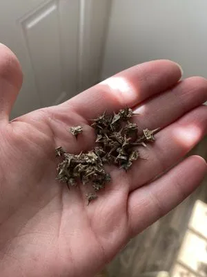 Sharper Landscaping Services