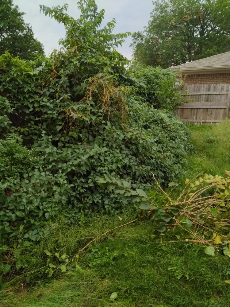 Custom landscaping services for beautiful yards in Tulsa, OK by Sharpe's Handyman Mowing and Tree Service Landscaping