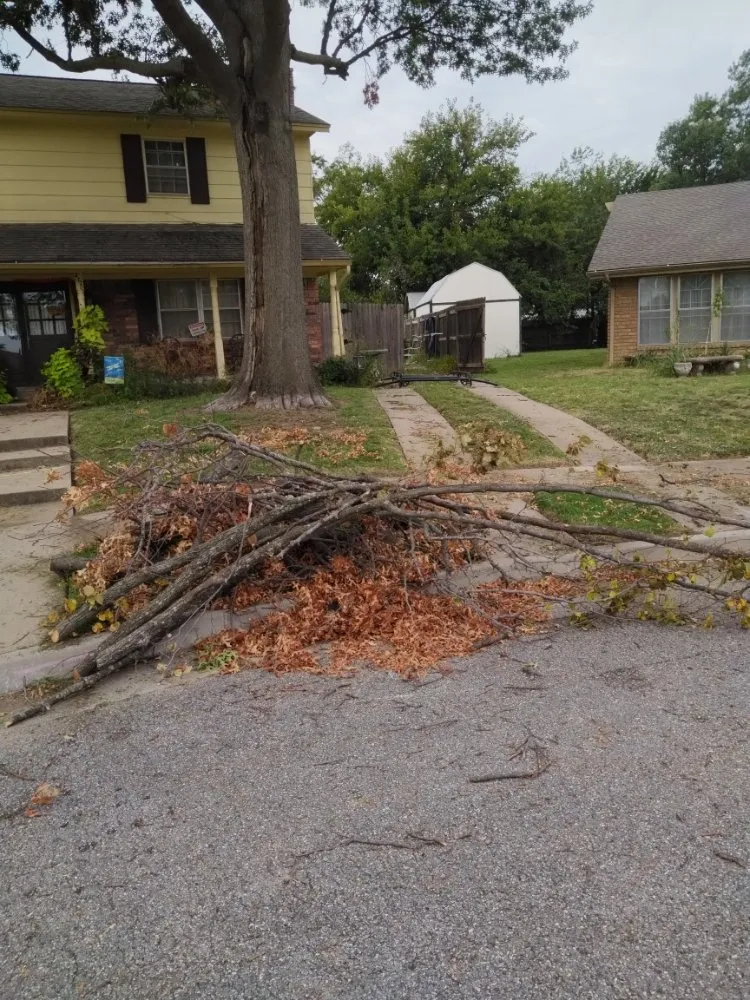 Trusted yard cleanup service experts serving Tulsa, OK - Sharpe's Handyman Mowing and Tree Service Landscaping