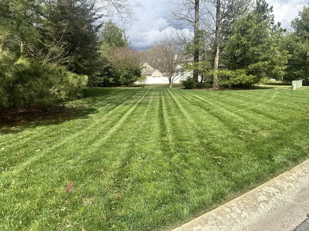 Top-rated yard maintenance near you across Frederica, DE - Sharpest Edge