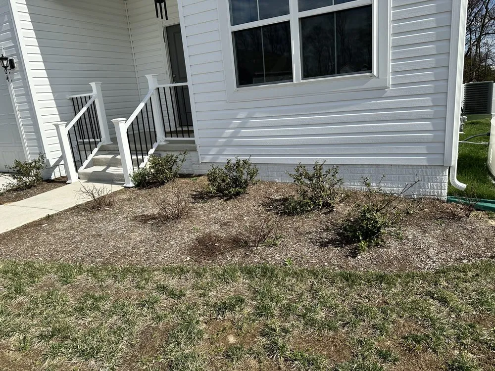 Reliable yard cleanup service in Frederica, DE - Sharpest Edge