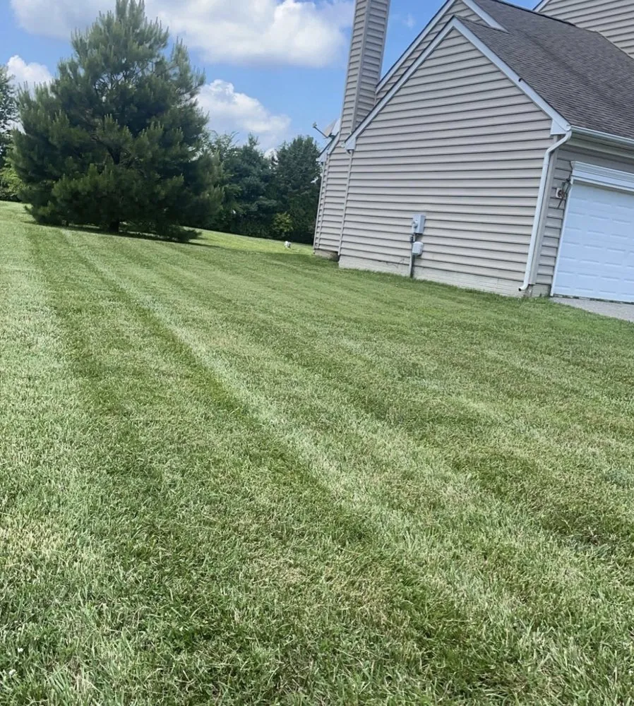 Local yard cleanup service experts serving Frederica, DE - Sharpest Edge