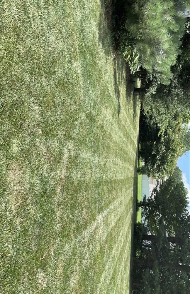 Affordable yard cleanup service experts serving Frederica, DE - Sharpest Edge