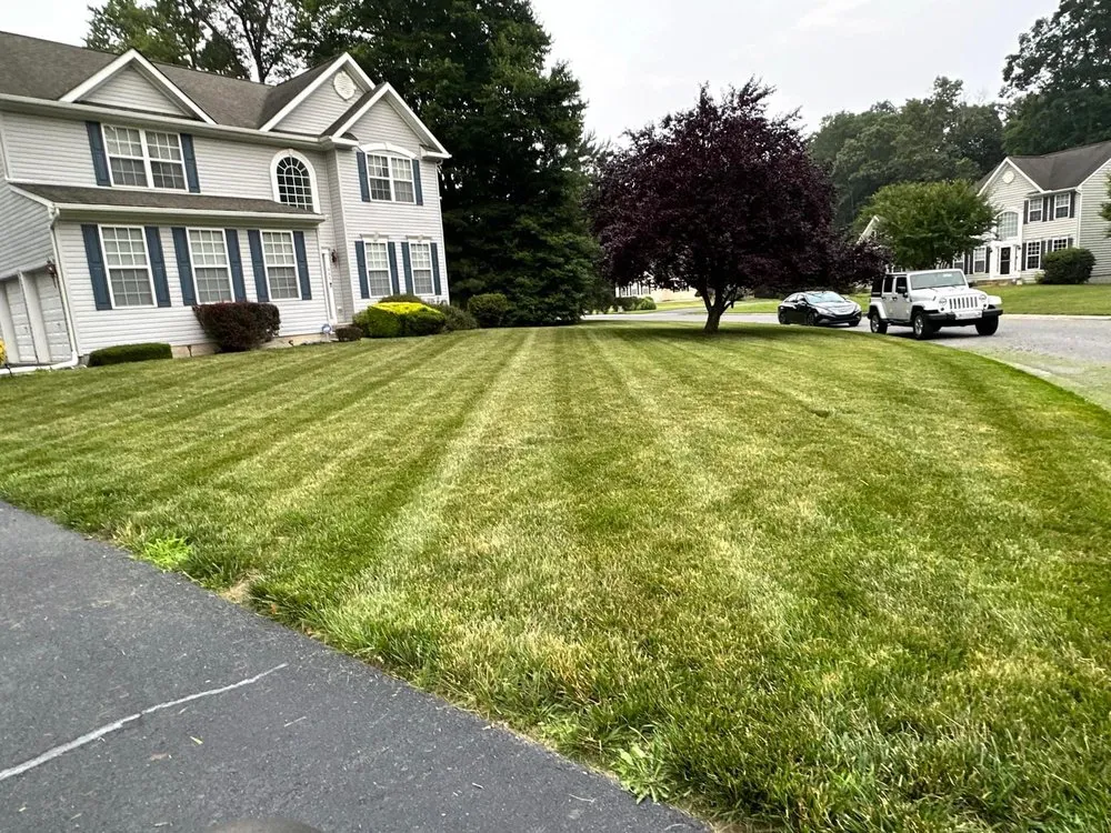 Custom landscape installation near you across Frederica, DE - Sharpest Edge