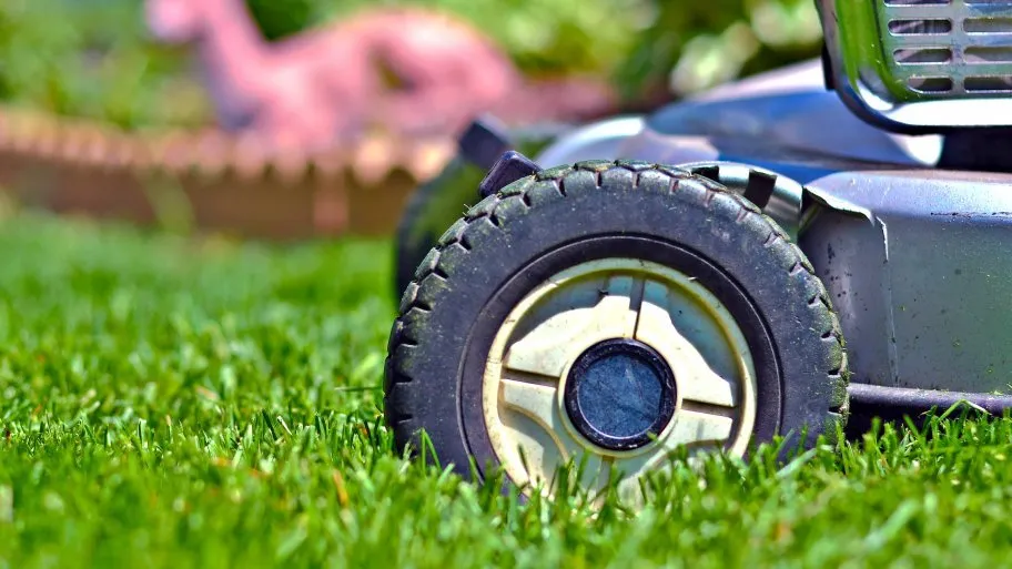 Professional garden landscaping for outdoor upgrades across Orlando, FL - Sharpest Image Lawn Care