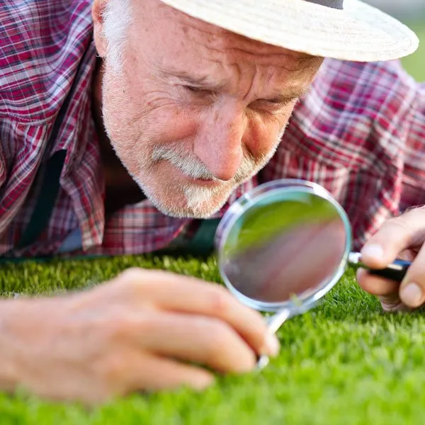 Affordable residential landscaping in Orlando, FL by Sharpest Image Lawn Care