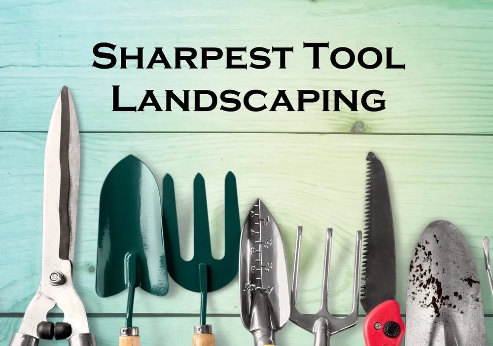 Custom yard cleanup service for residential properties across Berlin, MD - Sharpest Tool Landscaping