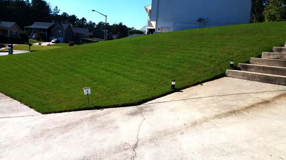 Custom landscaping services near you in Dallas, GA by Sharplawns Turf Care