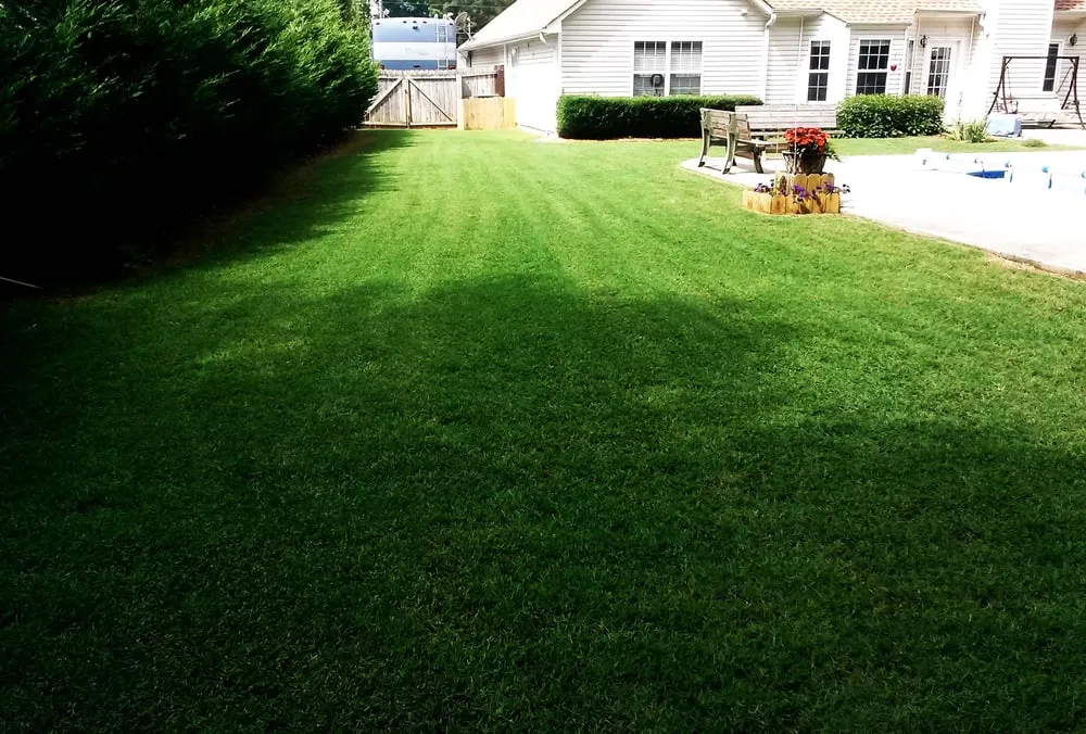 Local yard maintenance experts serving Dallas, GA - Sharplawns Turf Care