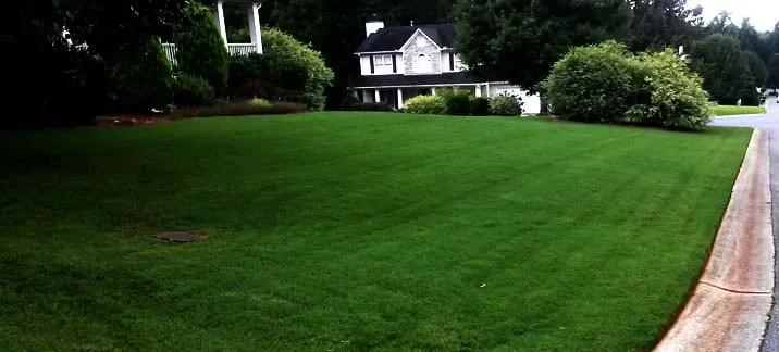 Top-rated landscaping services for outdoor upgrades in Dallas, GA by Sharplawns Turf Care