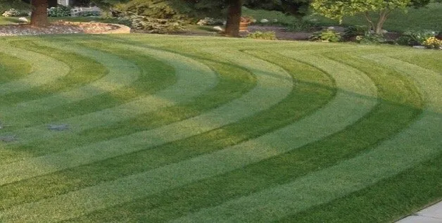 Local yard cleanup service experts serving Pittston, PA - Sharp's Landscaping