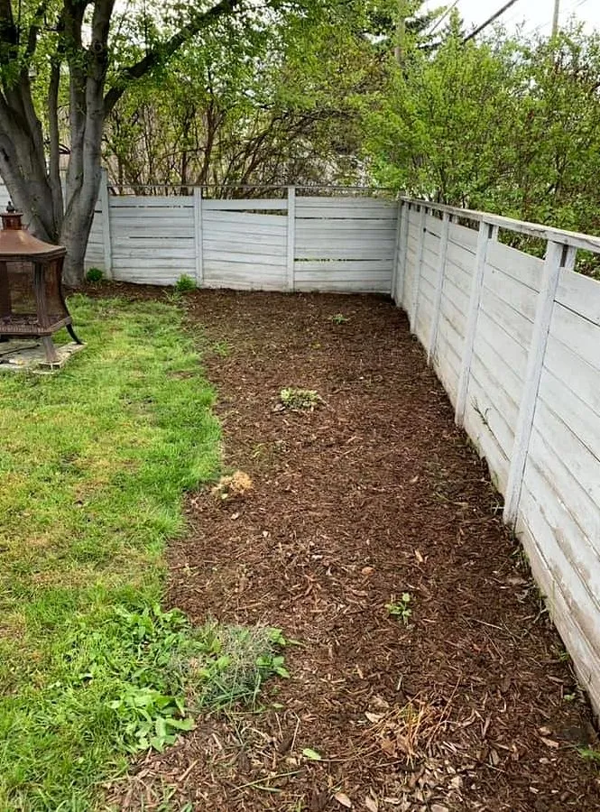 Reliable yard maintenance for beautiful yards in Houston, TX by Sharpstown Lawn Care