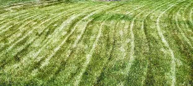 Top-rated landscape installation for year-round maintenance across Houston, TX - Sharpstown Lawn Care