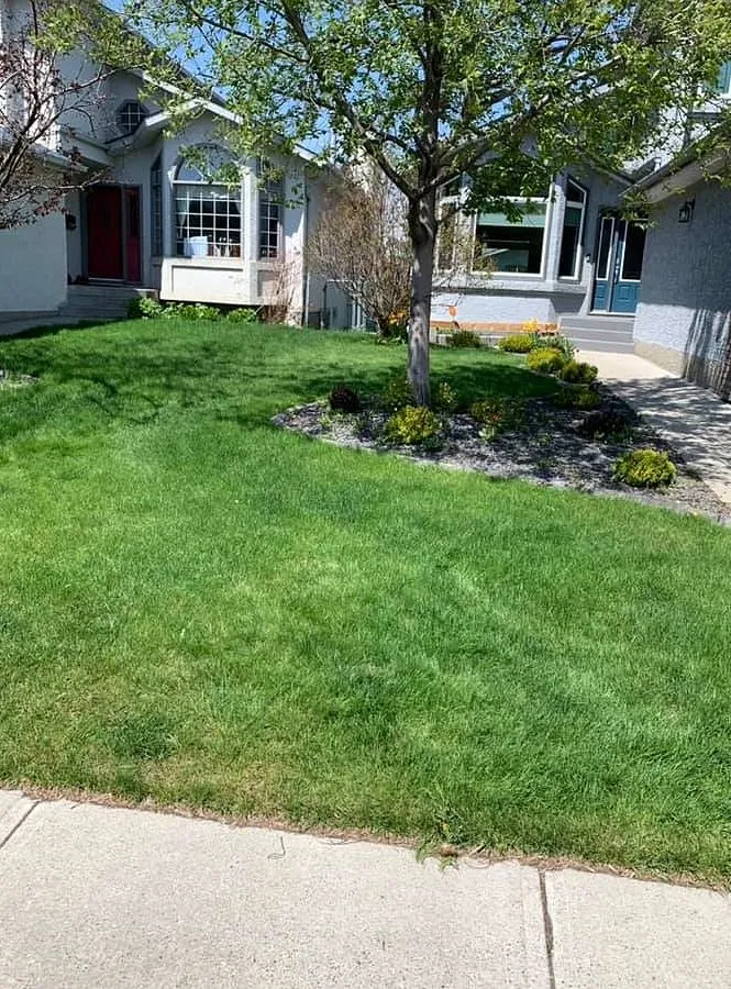 Local yard maintenance in Houston, TX by Sharpstown Lawn Care