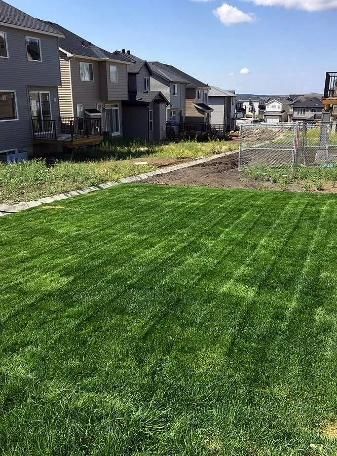 Affordable lawn mowing service near you across Houston, TX - Sharpstown Lawn Care