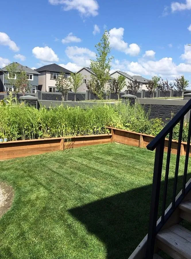 Local landscaping services for homes across Houston, TX - Sharpstown Lawn Care