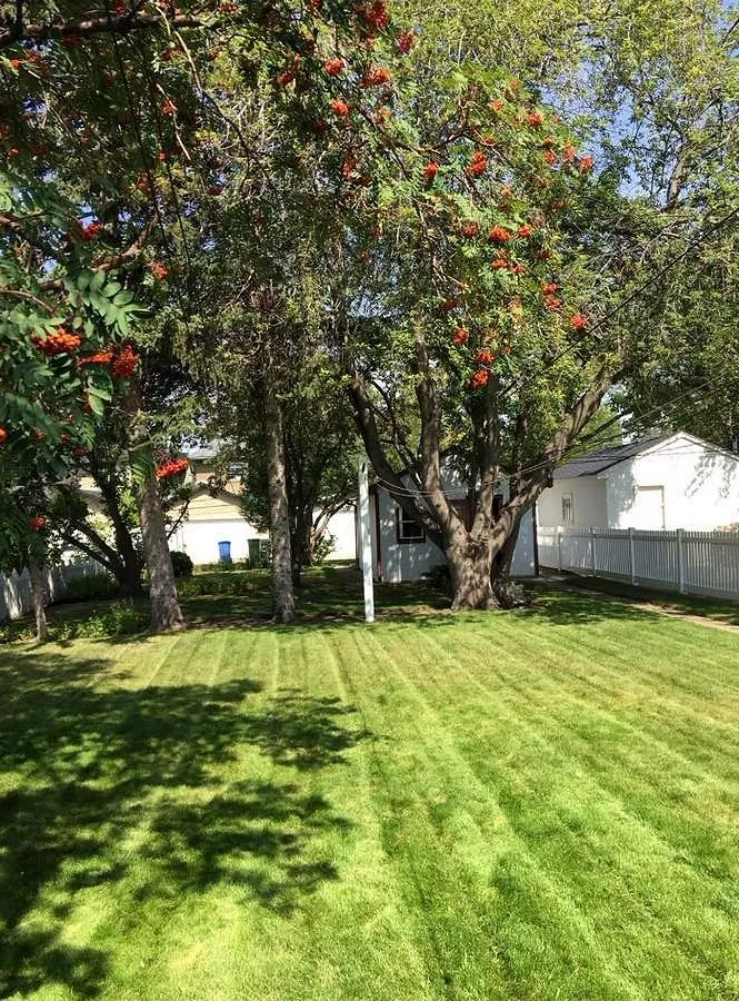 Reliable lawn care service in Houston, TX by Sharpstown Lawn Care