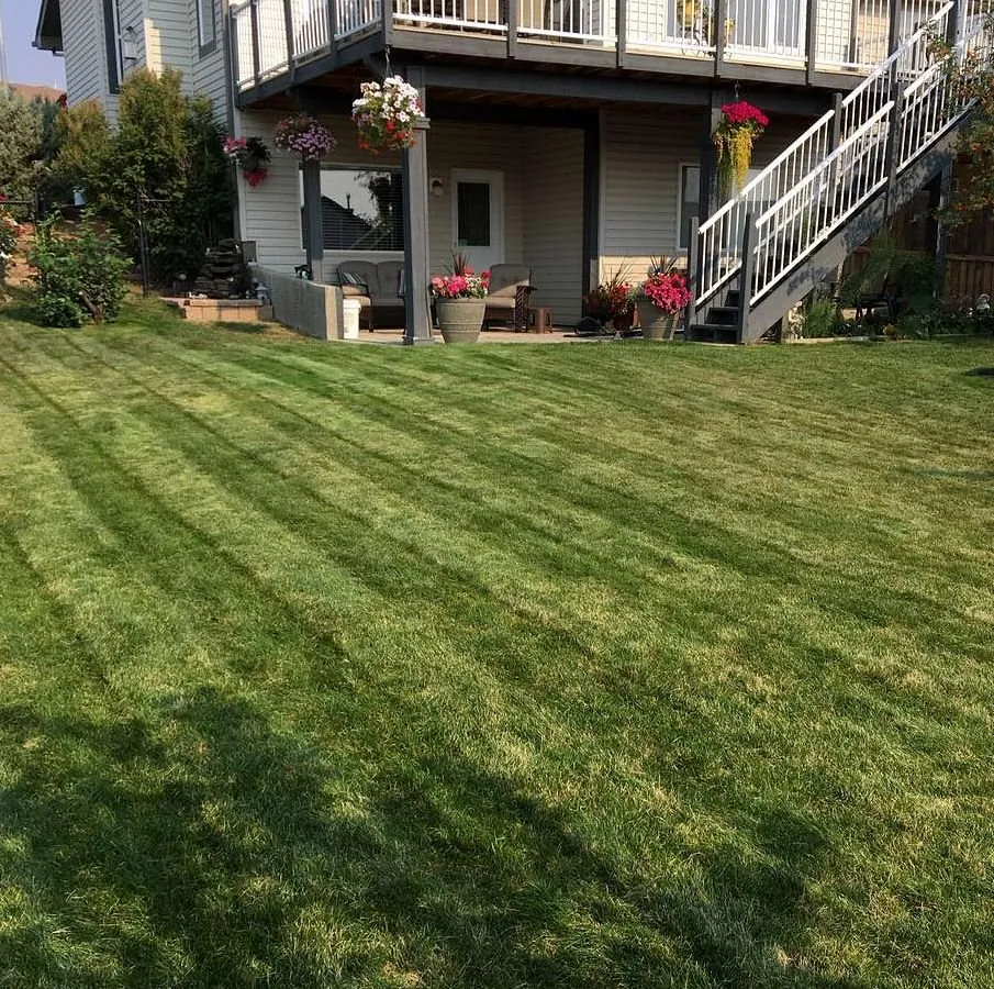 Trusted landscaping services in Houston, TX - Sharpstown Lawn Care