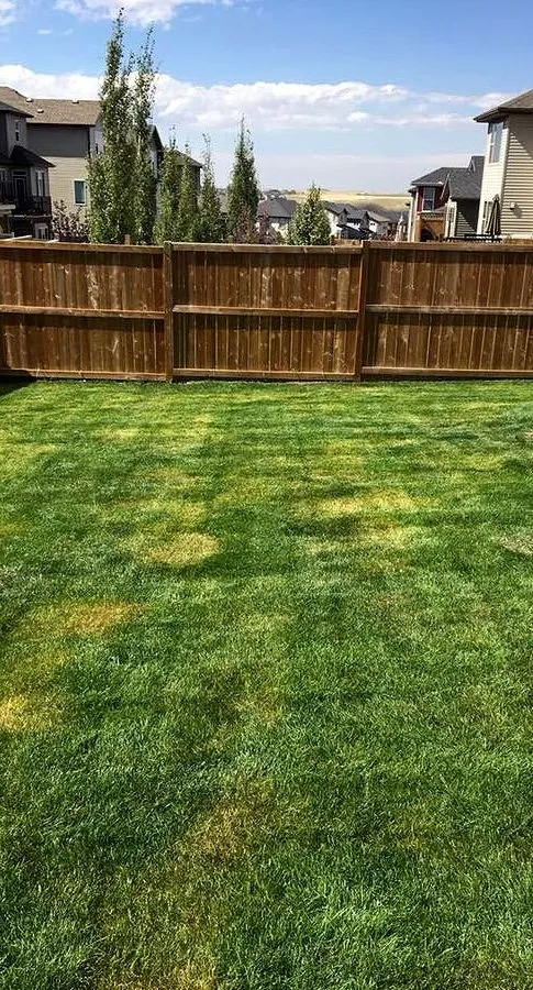 Trusted landscape design experts serving Houston, TX - Sharpstown Lawn Care