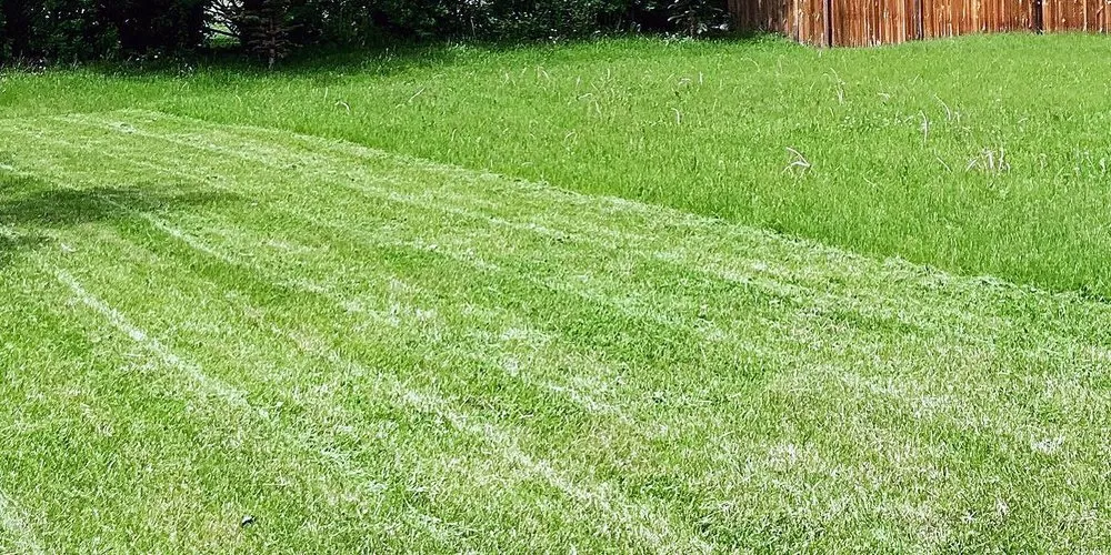 Custom residential landscaping in Houston, TX by Sharpstown Lawn Care