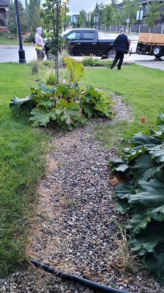 Affordable garden landscaping for outdoor upgrades in Houston, TX by Sharpstown Lawn Care