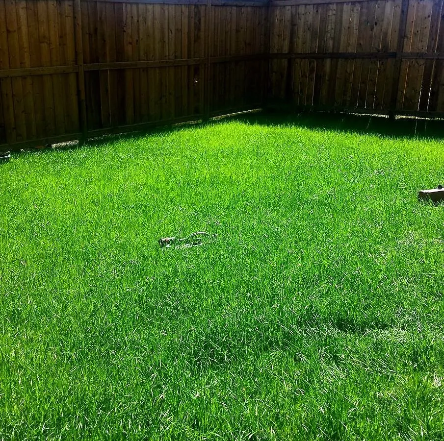Affordable landscape installation in Houston, TX - Sharpstown Lawn Care