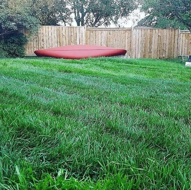 Trusted lawn care service experts serving Houston, TX - Sharpstown Lawn Care
