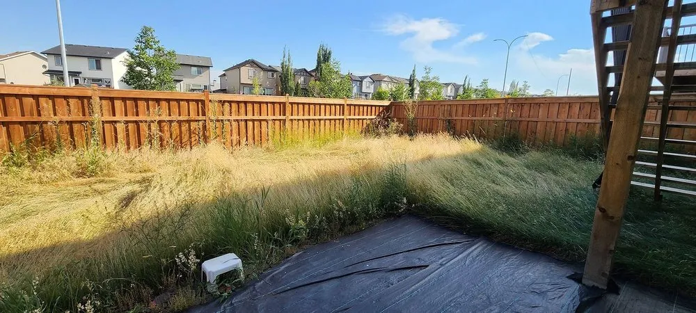 Expert residential landscaping near you in Houston, TX by Sharpstown Lawn Care