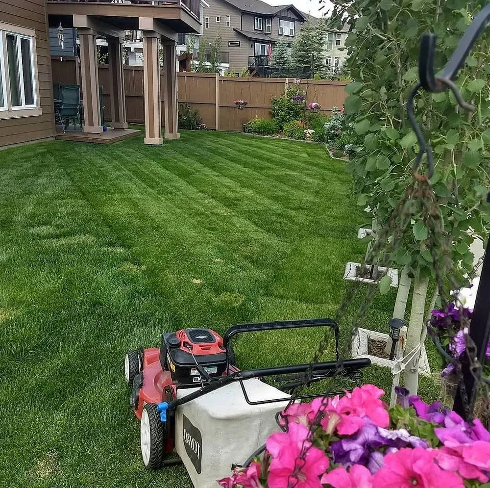 Local yard cleanup service with custom design across Houston, TX - Sharpstown Lawn Care