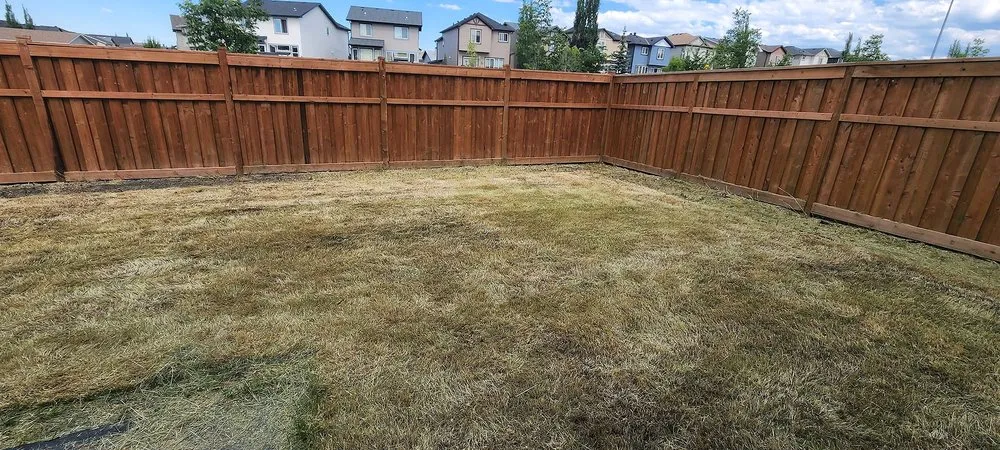 Trusted yard cleanup service in Houston, TX by Sharpstown Lawn Care