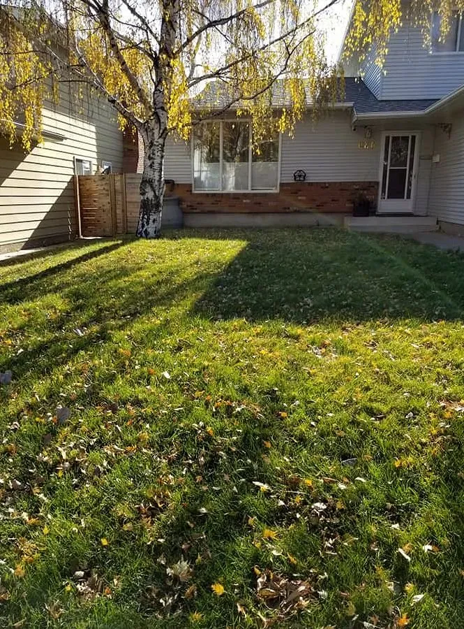 Expert garden landscaping in Houston, TX by Sharpstown Lawn Care