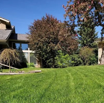 Sharpstown Lawn Care Logo