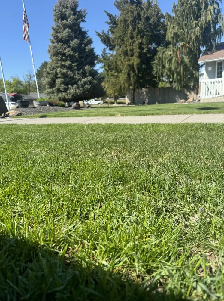 Trusted landscaping services experts serving Pasco, WA - Sharpz