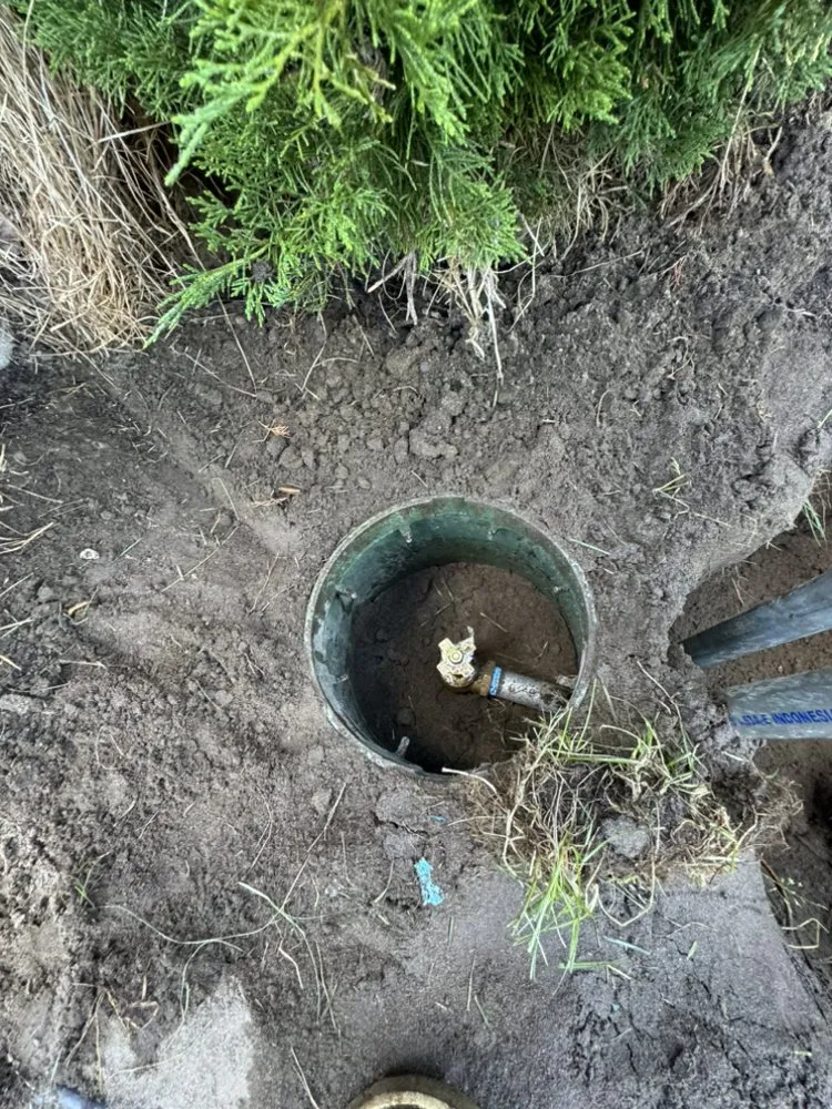 Reliable lawn mowing service for beautiful yards in Pasco, WA by Sharpz