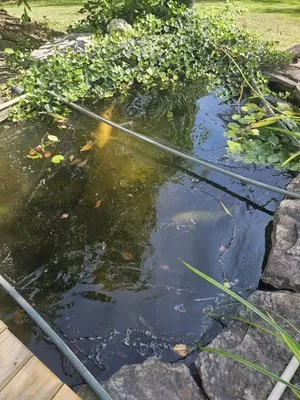 Sharrow's Services Logo