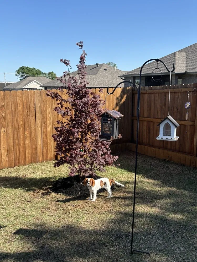 Top-rated landscape installation in Fort Smith, AR by Sharum's Garden Center