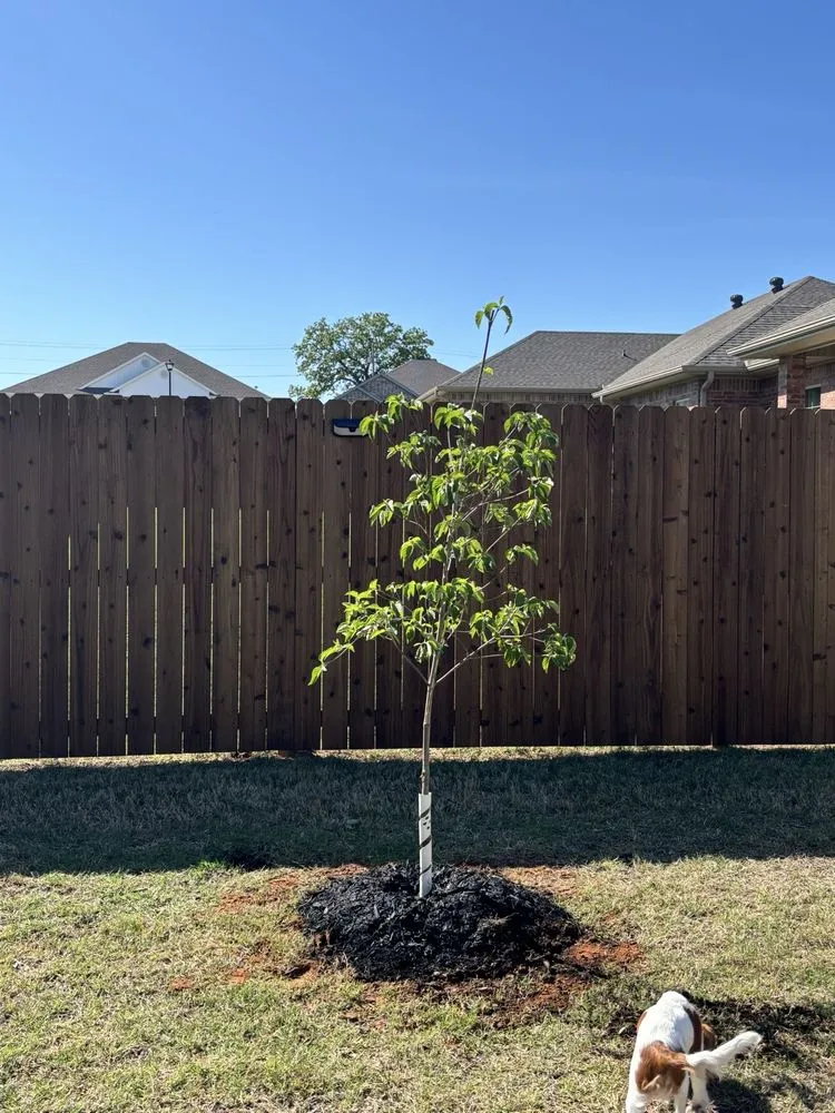 Expert lawn mowing service for homes in Fort Smith, AR by Sharum's Garden Center