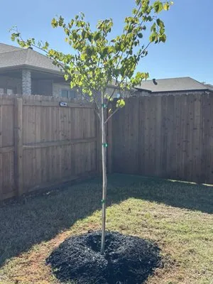 Sharum's Garden Center