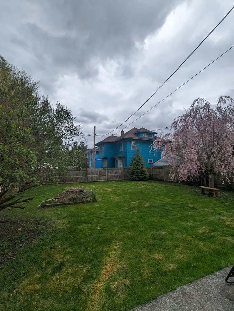 Reliable yard cleanup service in Rochester, NY by Sha's Pickup and Removal