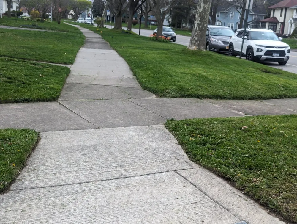 Top-rated yard cleanup service for outdoor upgrades in Rochester, NY by Sha's Pickup and Removal