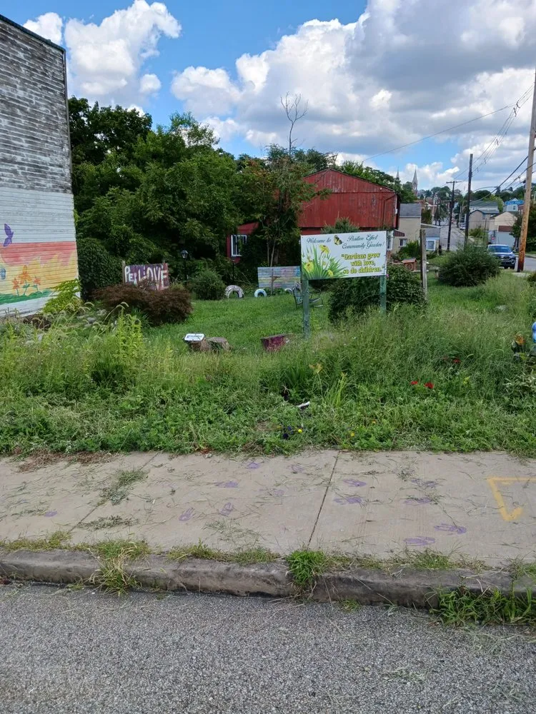 Affordable yard cleanup service near you in Pittsburgh, PA by Shaun's Lawns