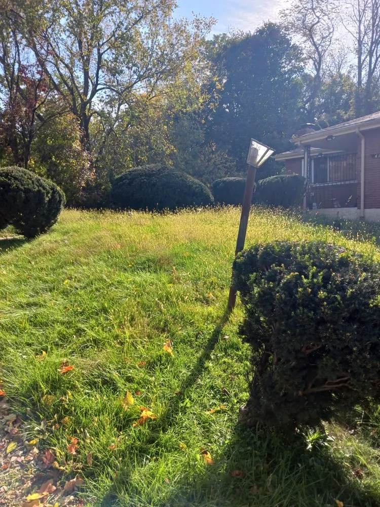 Professional landscaping services experts serving Pittsburgh, PA - Shaun's Lawns