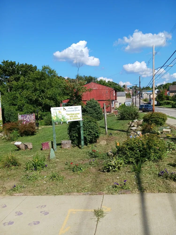 Local lawn care service for homes across Pittsburgh, PA - Shaun's Lawns