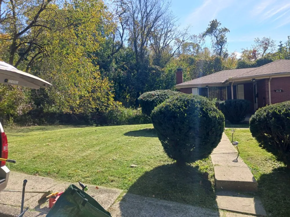 Reliable landscaping services for residential properties in Pittsburgh, PA by Shaun's Lawns