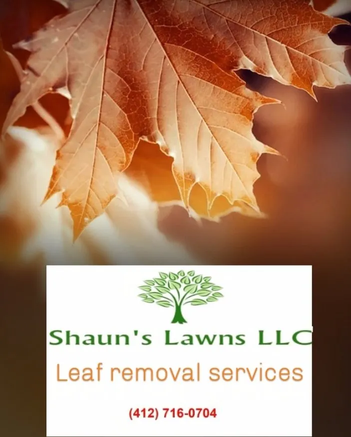 Expert garden landscaping in Pittsburgh, PA - Shaun's Lawns