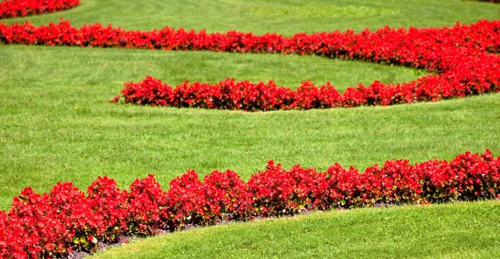 Custom garden landscaping near you in Sarasota, FL by Shaun's Sprinkler Service