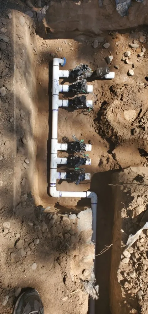 Custom landscaping services near you in Sarasota, FL by Shaun's Sprinkler Service