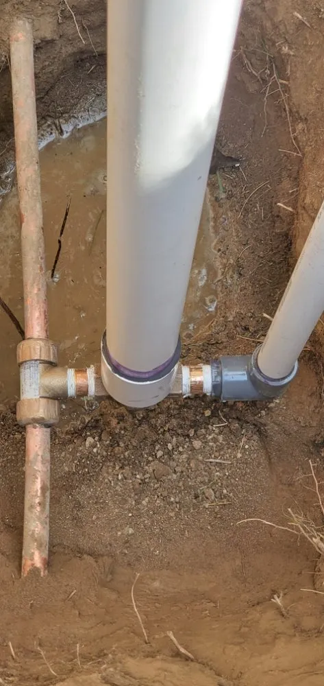 Trusted landscape design in Sarasota, FL by Shaun's Sprinkler Service