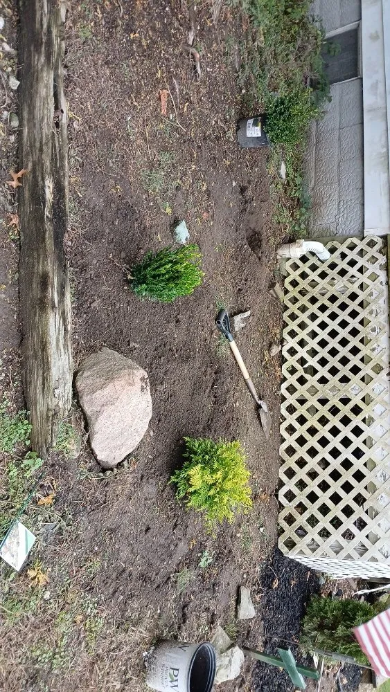 Affordable yard cleanup service for residential properties in Strongsville, OH by Shaver Bros Landscaping