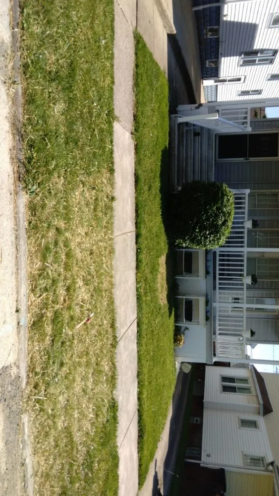 Expert landscaping services for beautiful yards across Strongsville, OH - Shaver Bros Landscaping